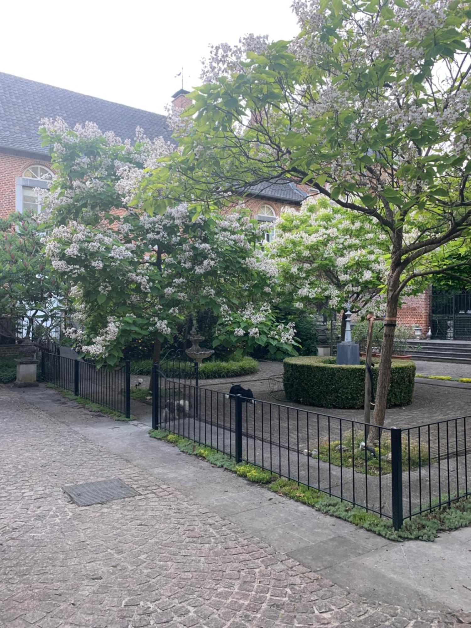 Vakantie Huizen De Heerlijkheid Satenbergh Vila Heers Exterior foto